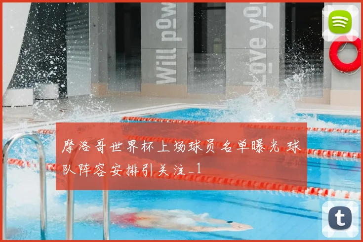 摩洛哥世界杯上场球员名单曝光 球队阵容安排引关注_1